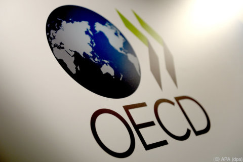 OECD erwartet stärkstes Wachstum der Weltwirtschaft seit 2011