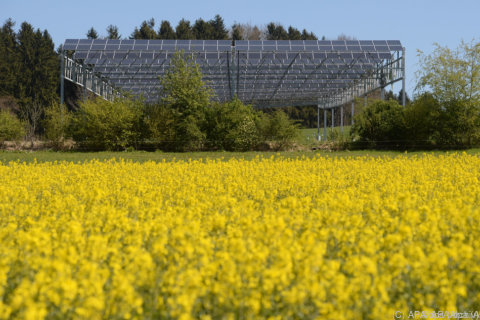 Niederösterreich will Ausbau von erneuerbaren Energien beschleunigen