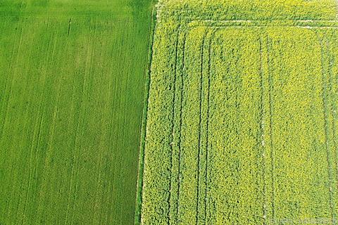 Strukturwandel in der Landwirtschaft zuletzt verlangsamt