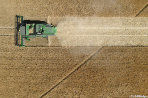 AK fordert Prüfung landwirtschaftlicher Förderungen