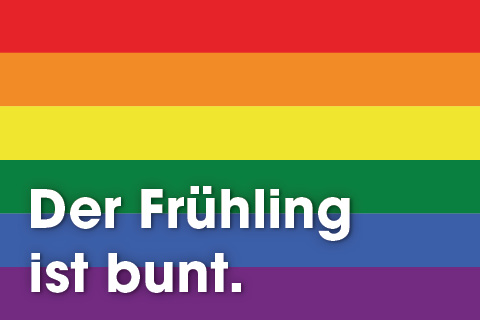 Frühlingsvielfalt in der Marchfelder Bank