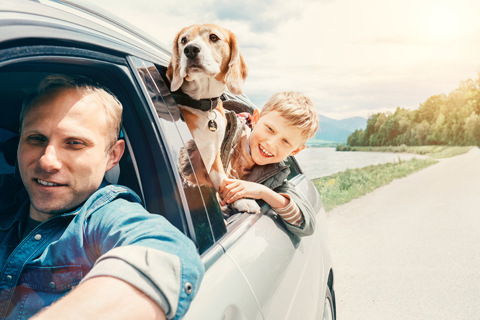 Familie mit Hund im Auto - KFZ Versicherung bei Marchfelder Bank